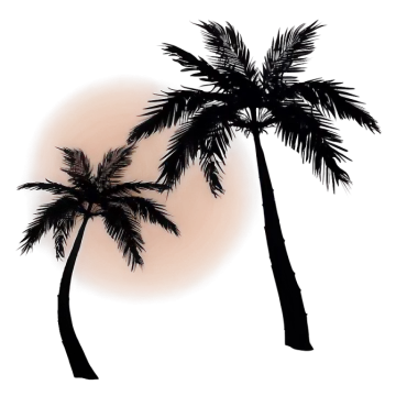 two palm trees with the sun in the background