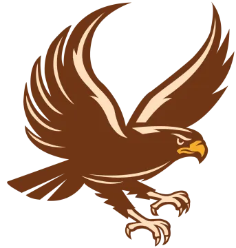 an eagle flying with its wings spread out