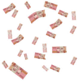 a bunch of money flying in the air