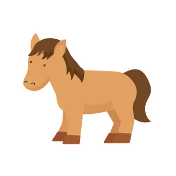 a brown horse standing on a white background
