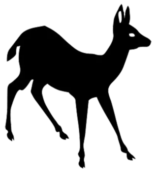 a deer silhouetted on a white background