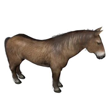 a brown horse standing on a white surface
