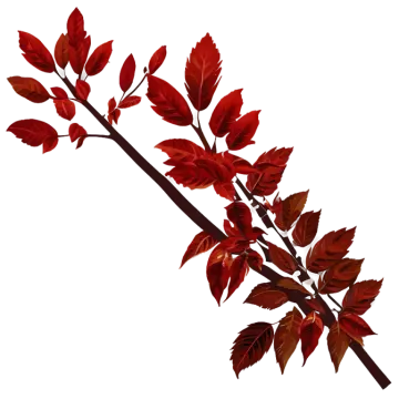a branch with red leaves on it