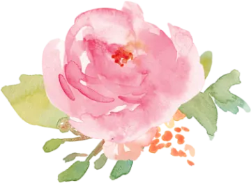 a watercolor painting of a pink rose