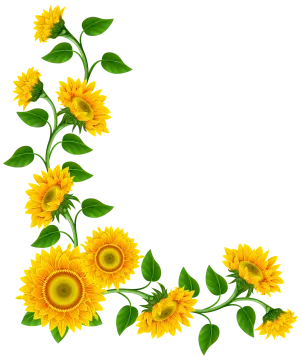 a sunflower border with leaves and flowers