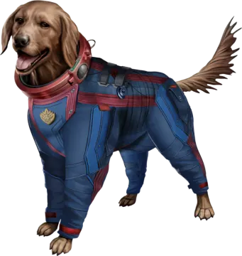 a brown dog wearing a blue and red suit