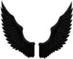 a pair of black wings