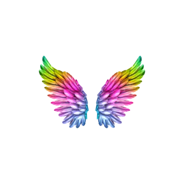 a rainbow colored wing on a white background