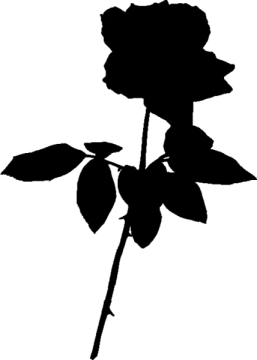 a black and white silhouette of a rose