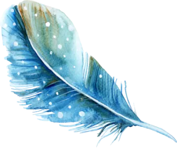 a watercolor painting of a feather