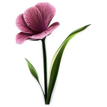 a purple flower on a white background