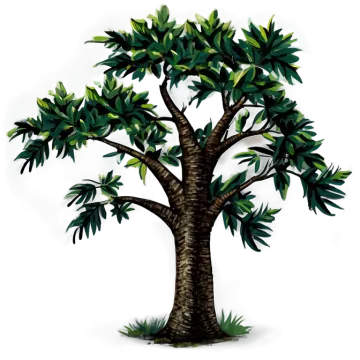 an illustration of a tree with green leaves