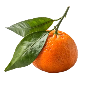 an orange with a leaf on top of it