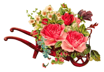 a red watering with pink roses and green leaves