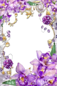 a frame with purple flowers and butterflies