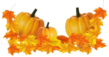 two pumpkins surrounded by autumn leaves