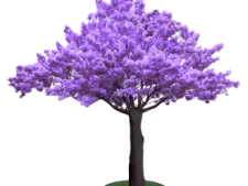 a purple tree on a white background