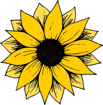 a yellow sunflower with black center