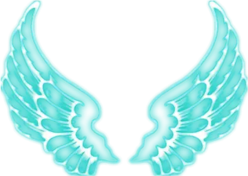 a pair of blue wings on a white background