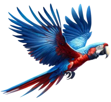 a blue and red parrot flying in the air