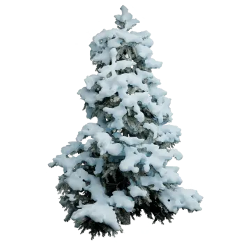 a christmas tree covered in snow on a white background