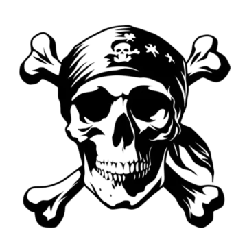 a skull and crossbones on a white background