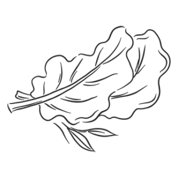 a black and white drawing of a leaf