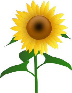 a yellow sunflower with green leaves