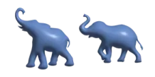 two elephants standing next to each other elephants
