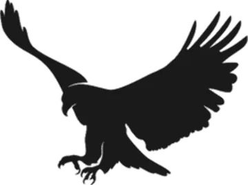 an eagle silhouetted on a white background