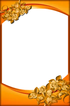 an orange frame with roses on it