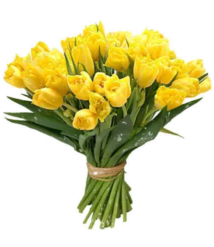 a bouquet of yellow tulips