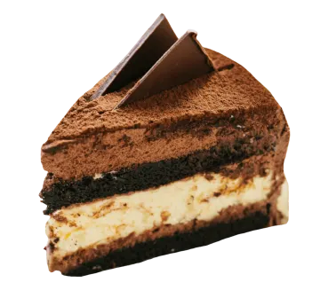 a piece of chocolate cake on a white background