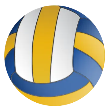 a volleyball ball on a white background