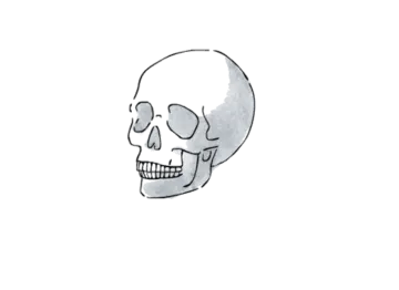 a drawing of a skull on a white background