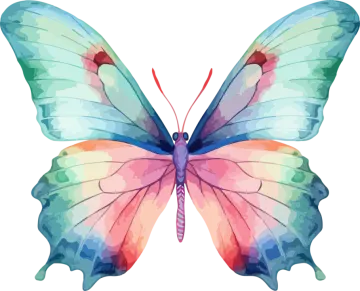 a colorful butterfly on white background
