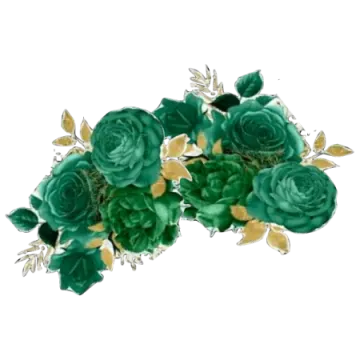 a bunch of green roses on a white background