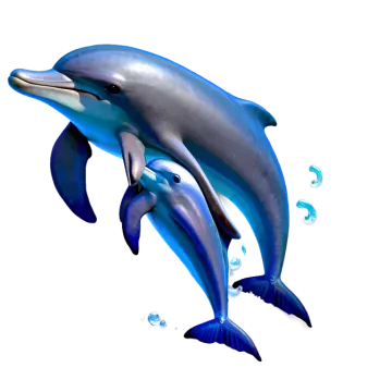 a drawing of two dolphins jumping in the air