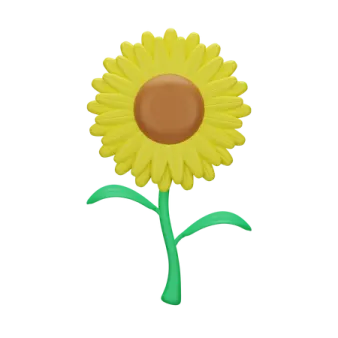 a yellow flower on a white background
