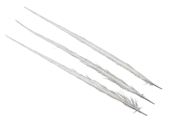 two white feathers on a white background