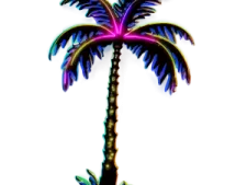 a drawing of a palm tree on a white background