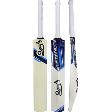 a pair of cricket bats