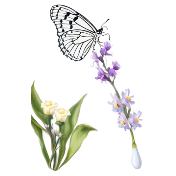 a butterfly sitting on top of a flower