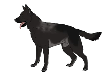 a black dog with its mouth open