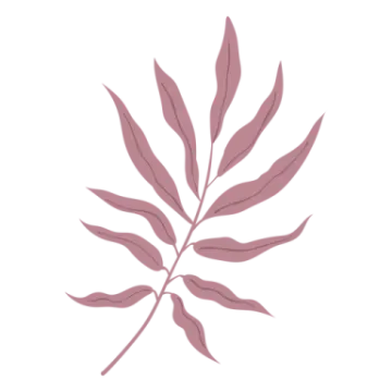 a pink leaf on a white background