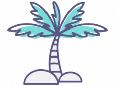 a palm tree in the middle of a white background
