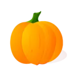 an orange pumpkin on a white background