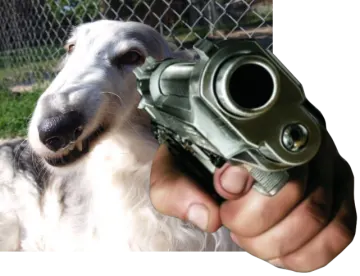a dog holding a toy gun in its mouth
