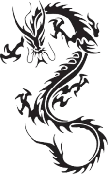 a black and white dragon tattoo