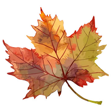 a colorful maple leaf